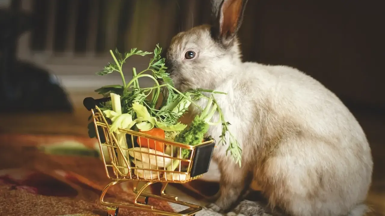 Ein flauschiges Kaninchen knabbert genüsslich an frischer Minze und anderem Gemüse aus einem goldenen Einkaufswagen.