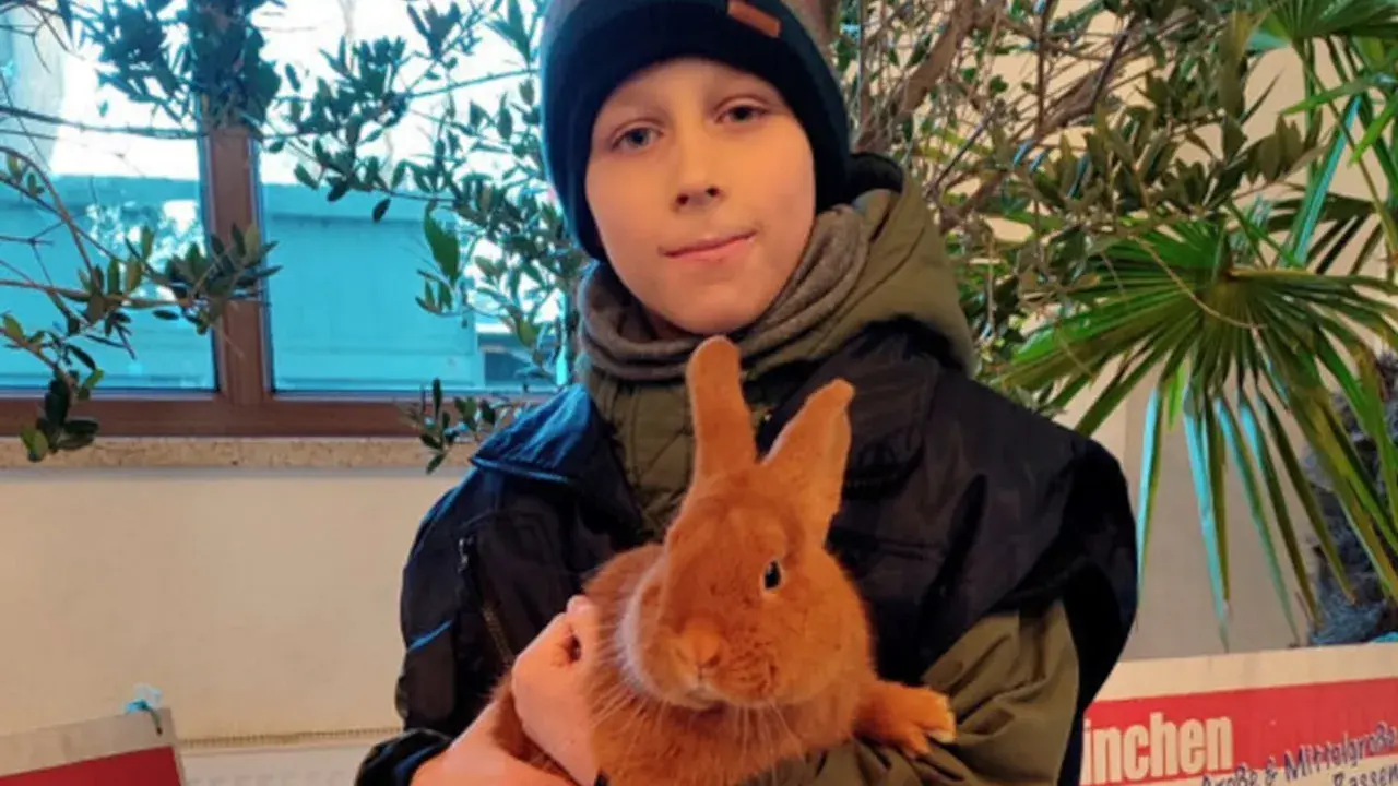 Junge hält ein süßes Sachsengold Kaninchen.