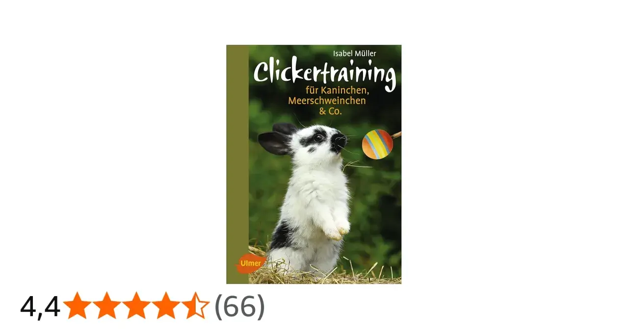 Ein süßes Kaninchen lernt Clickertraining. Das Buch "Clickertraining für Kaninchen, Meerschweinchen & Co." zeigt, wie es geht.