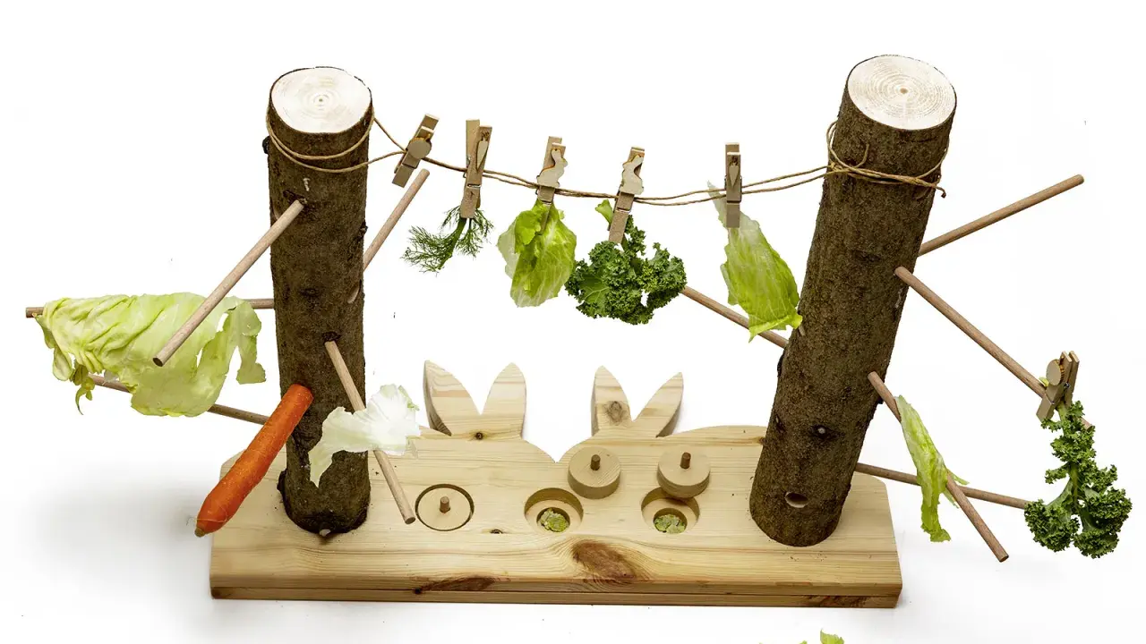 Ein Spielzeug für Kaninchen mit Gemüse, das an Wäscheleinen hängt. Ein Karotte liegt auf dem Holz.