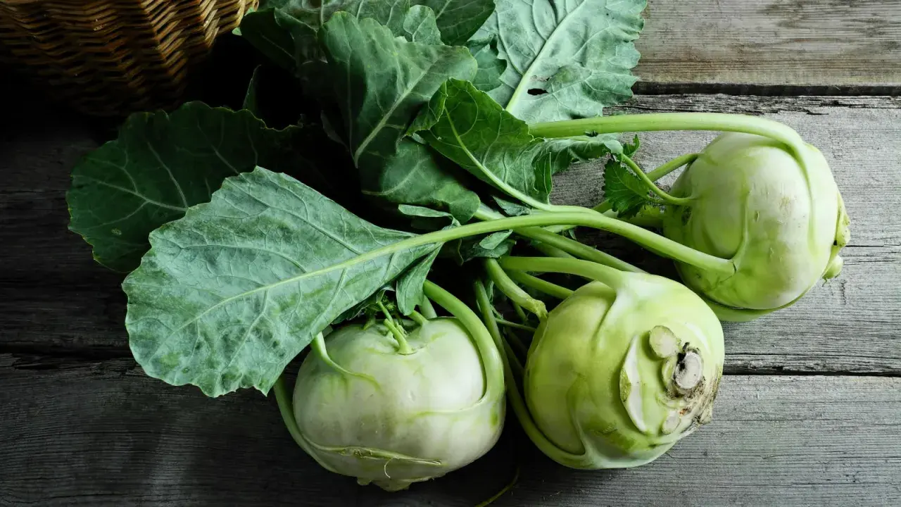 Frische Kohlrabi mit grünen Blättern liegen auf Holz. Vielleicht ein Leckerbissen für ein Kaninchen?