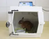 Kleines Kaninchen in einer Transportbox, das ängstlich wirkt. Es sitzt neben Heu und einer Wasserschale.