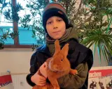 Junge hält ein süßes Sachsengold Kaninchen.