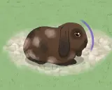 Ein braunes Kaninchen mit Schlappohren sitzt im Gras. Ein violetter Bogen deutet auf eine Bewegung hin, vielleicht beim Versuch, das Kaninchen einzufangen.