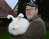 Mann hält ein flauschiges Angorakaninchen im Arm. Das Kaninchen ist fast vollständig von seiner weißen Wolle verdeckt.
