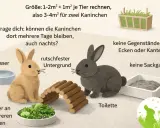 Zwei Kaninchen, ein braunes und ein graues, sitzen in einem Gehege mit Futter, Wasser und Toilette. Tipps für die artgerechte Haltung von hasen als haustier.