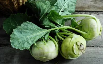 Frische Kohlrabi mit grünen Blättern liegen auf Holz. Vielleicht ein Leckerbissen für ein Kaninchen?