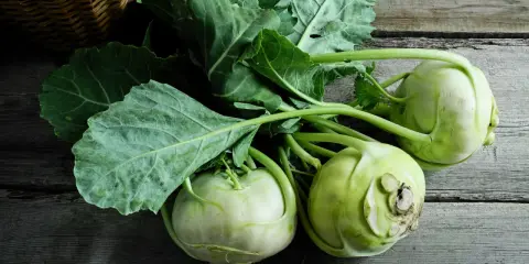 Frische Kohlrabi mit grünen Blättern liegen auf Holz. Vielleicht ein Leckerbissen für ein Kaninchen?