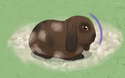 Ein braunes Kaninchen mit Schlappohren sitzt im Gras. Ein violetter Bogen deutet auf eine Bewegung hin, vielleicht beim Versuch, das Kaninchen einzufangen.