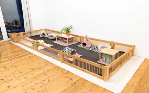 Ein geräumiges Gehege mit Holzumrandung, weichem Teppichboden und gemütlichen Häuschen für Meerschweinchen. Die meerschweinchen einstreu ist sauber und lädt zum Spielen ein.