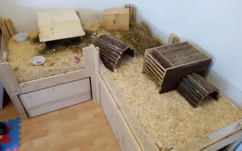 Ein geräumiger Meerschweinchenstall, den man selber bauen kann, mit Holzrampen, Häusern und viel Einstreu.