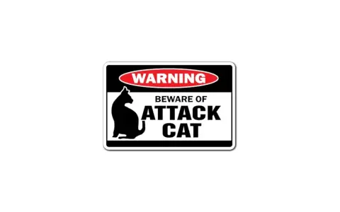 Warnung: Vorsicht vor der Katze! Sie greifen Kaninchen an.