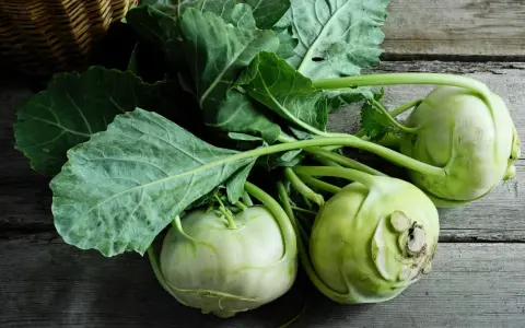 Frische Kohlrabi mit grünen Blättern liegen auf Holz. Vielleicht ein Leckerbissen für ein Kaninchen?