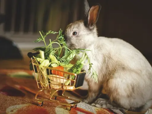 Ein flauschiges Kaninchen knabbert genüsslich an frischer Minze und anderem Gemüse aus einem goldenen Einkaufswagen.