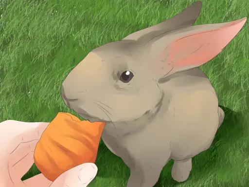 Ein Kaninchen grunzt genüsslich, während es eine Karotte von einer Hand frisst.