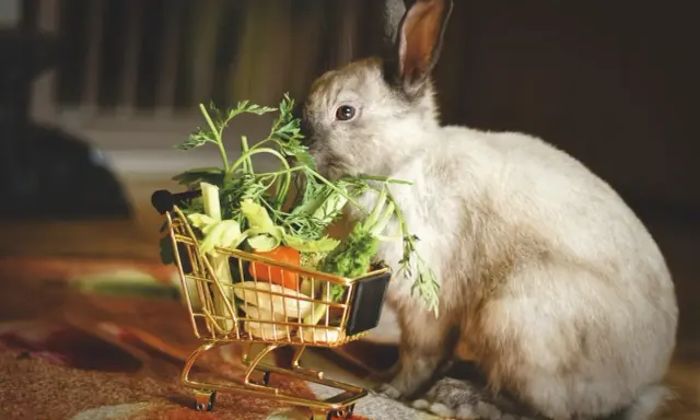 Ein flauschiges Kaninchen knabbert genüsslich an frischer Minze und anderem Gemüse aus einem goldenen Einkaufswagen.
