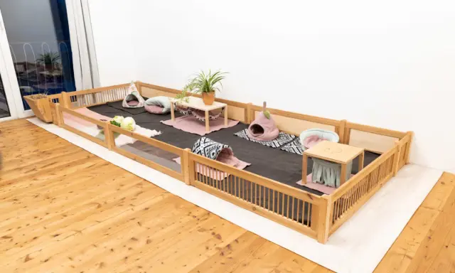 Ein geräumiges Gehege mit Holzumrandung, weichem Teppichboden und gemütlichen Häuschen für Meerschweinchen. Die meerschweinchen einstreu ist sauber und lädt zum Spielen ein.
