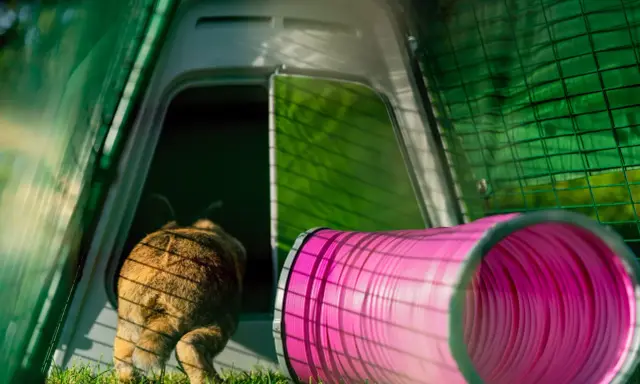 Ein braunes Kaninchen rennt in einen pinken Tunnel. Hinter ihm ist ein grünes Gehege mit einer Tür.