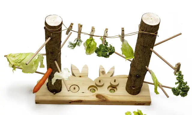 Ein Spielzeug für Kaninchen mit Gemüse, das an Wäscheleinen hängt. Ein Karotte liegt auf dem Holz.