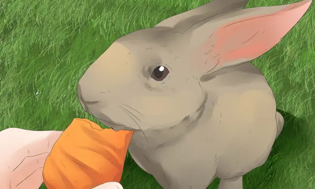 Ein Kaninchen grunzt genüsslich, während es eine Karotte von einer Hand frisst.