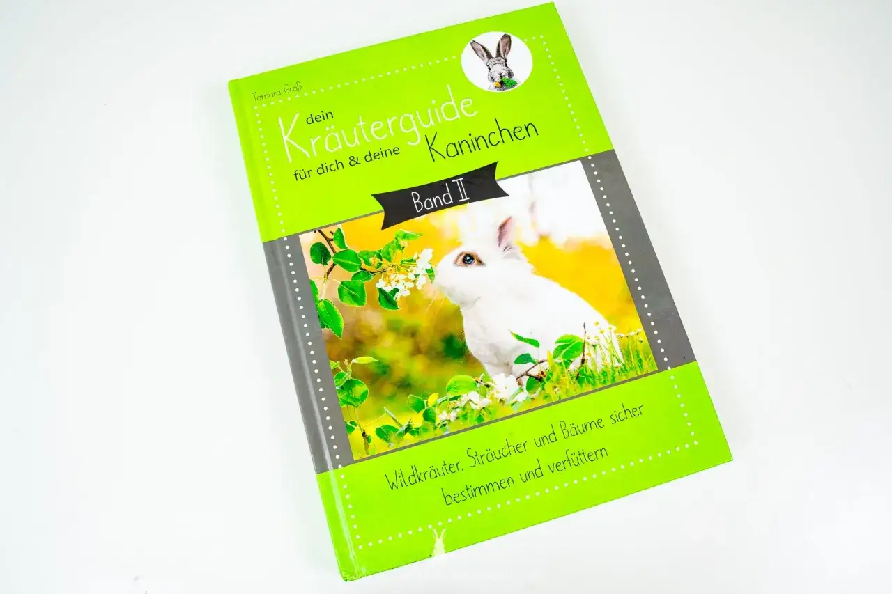 Ein Buchcover mit einem weißen Kaninchen, das an Blüten riecht. Der Titel lautet