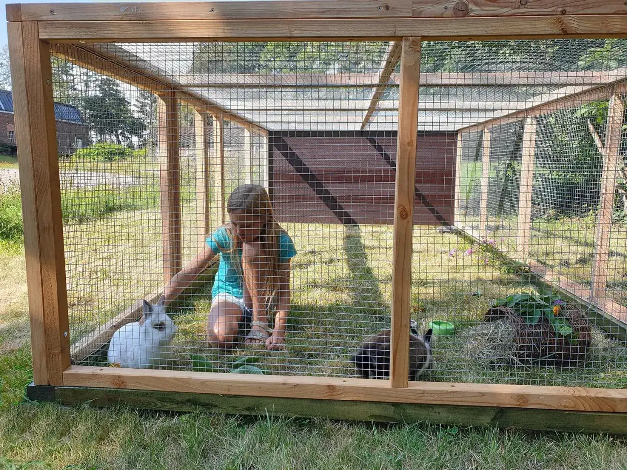 Mädchen streichelt weiße Kaninchen in großem Gehege. Ein weiteres Kaninchen liegt daneben. Hasen als Haustier sind glücklich im Freien.