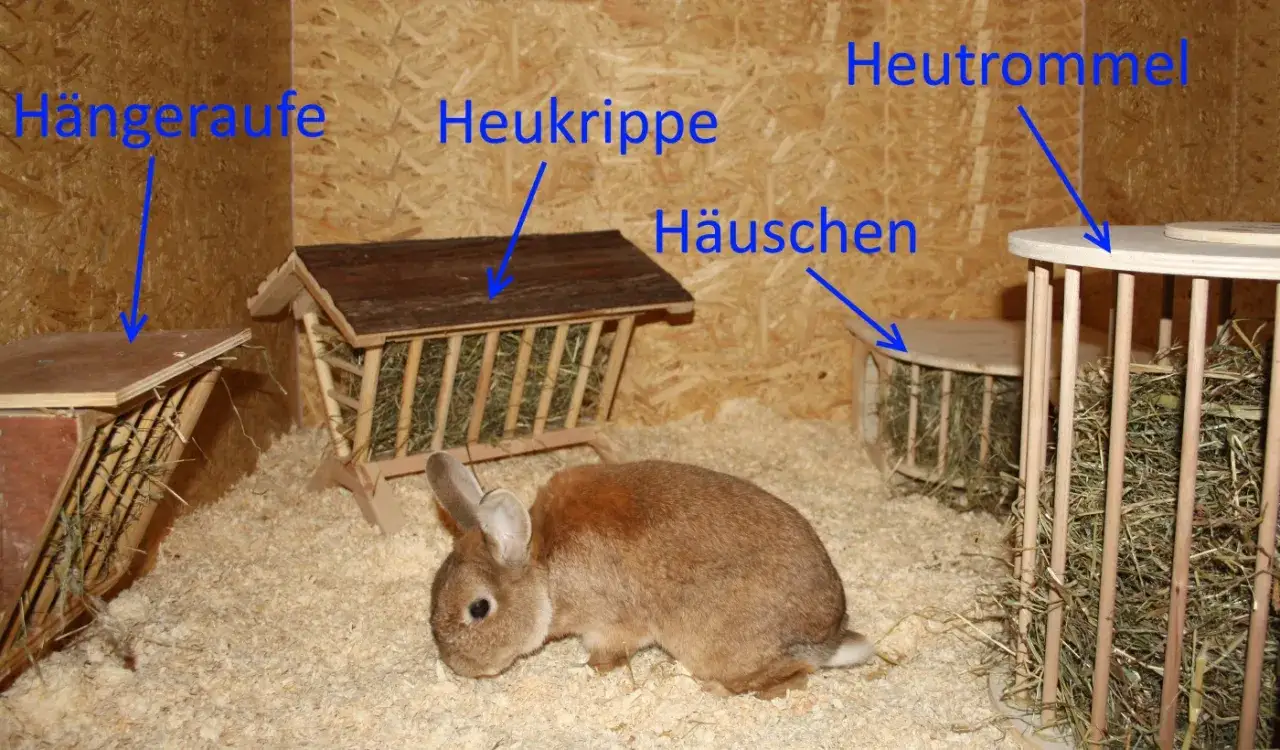 Ein Kaninchen im Gehege, umgeben von selbstgebauten Heuraufen und einem Häuschen.